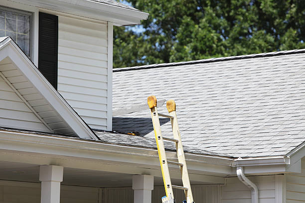 Best Siding Painting and Refinishing  in Keasbey, NJ